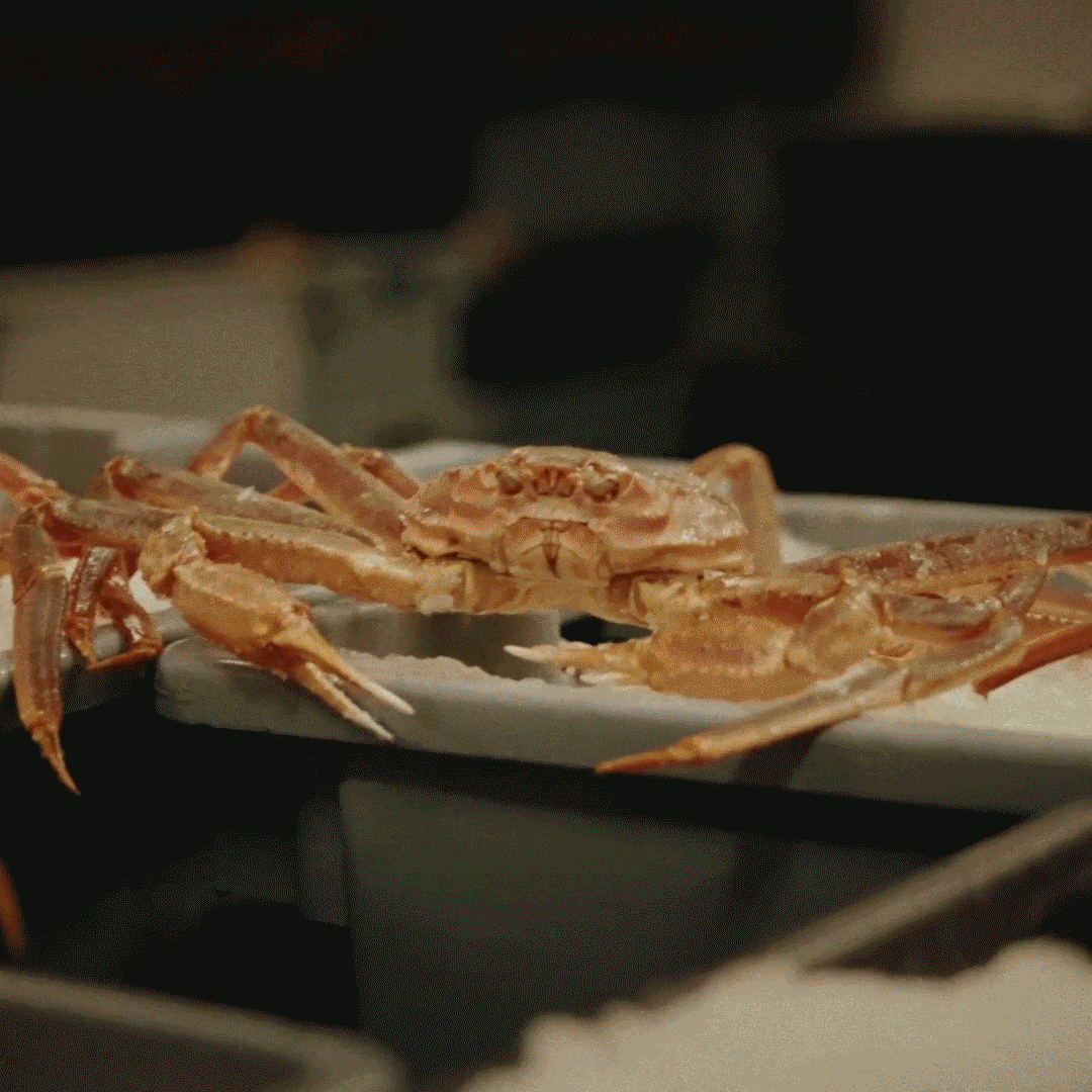 Alaskan snow crab legs